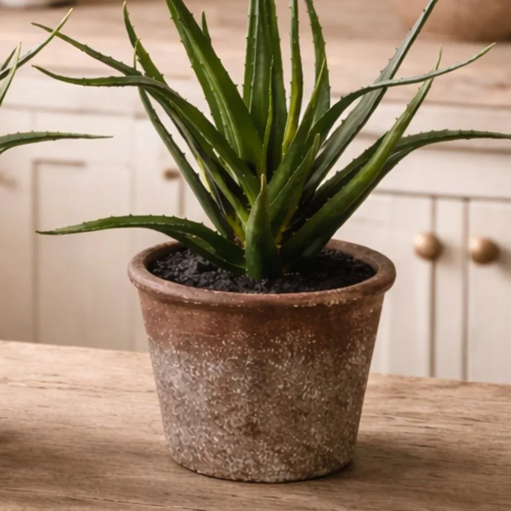 Set of 2  Faux Lifelike Aloe Plant In Rustic Terracotta Pot Planter